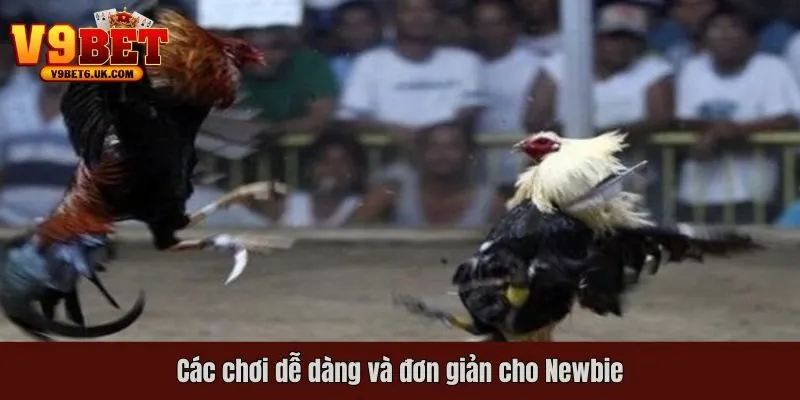 Cách chơi dễ dàng và đơn giản cho Newbie