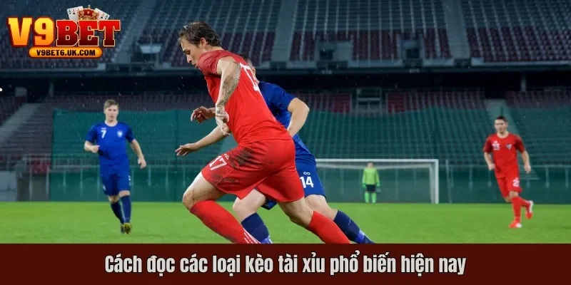 Cách đọc các loại kèo tài xỉu v9bet phổ biến hiện nay