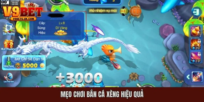 Mẹo chơi bắn cá xèng hiệu quả