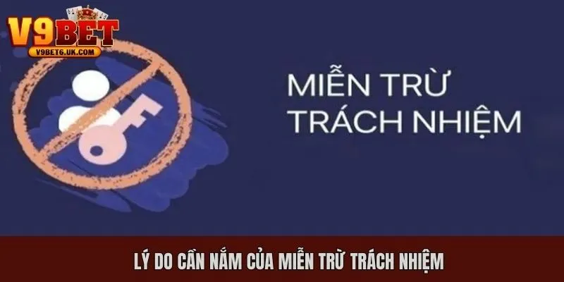 Lý do cần nắm rõ miễn trừ trách nhiệm hệ thống