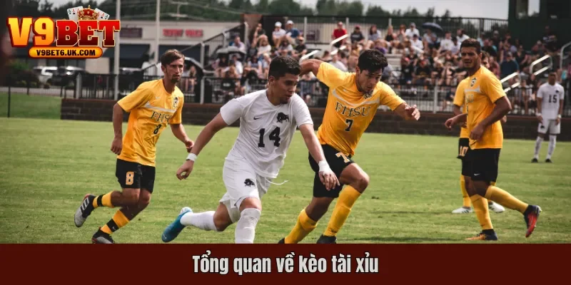 Tổng quan về kèo tài xỉu
