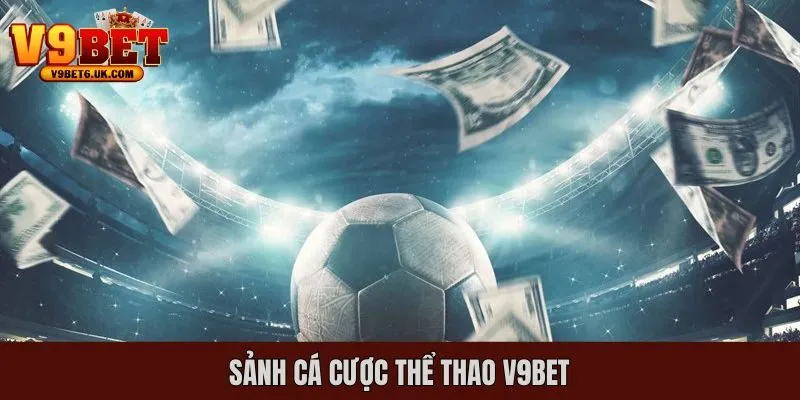 Sảnh cược thể thao với vô vàn giải đấu lớn diễn ra mỗi ngày